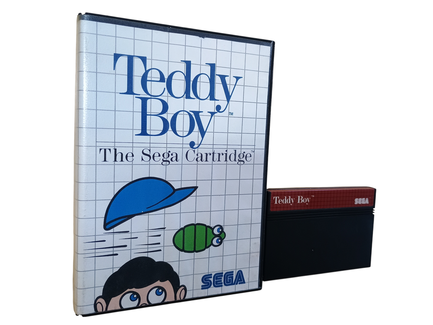 Teddy Boy - boxed (no ins)